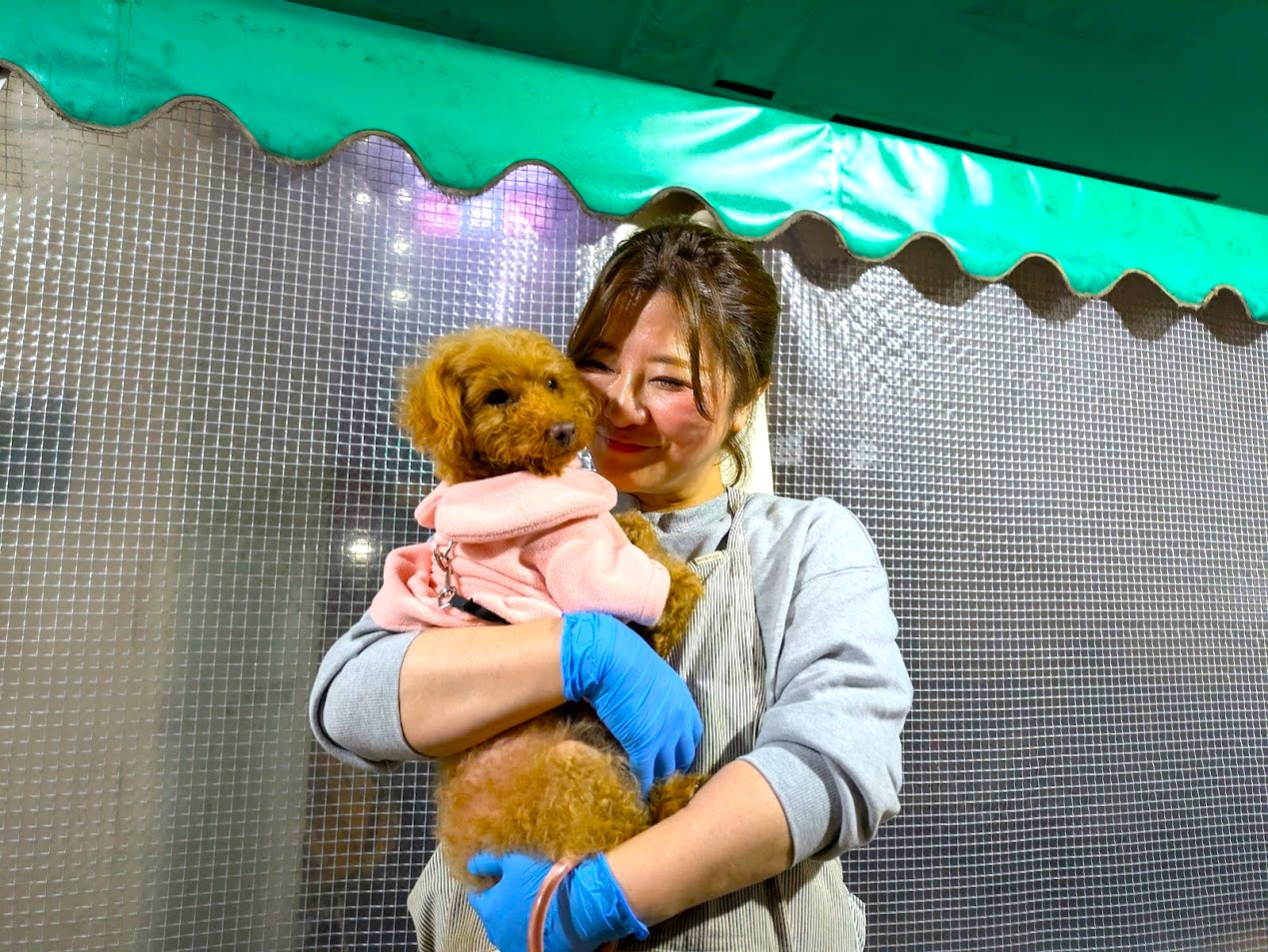 ホルモン福゜福゜