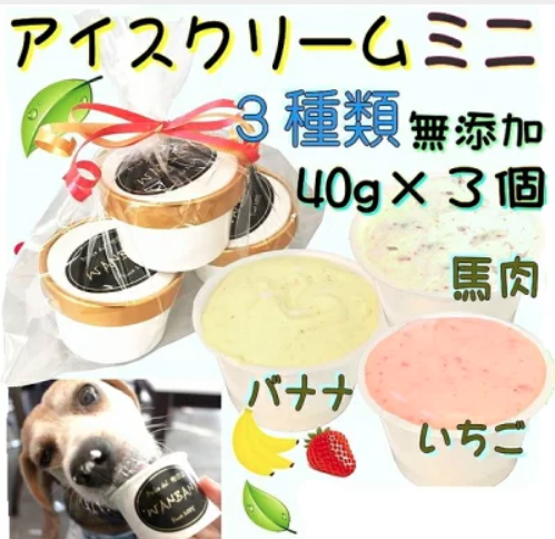 室内でも夏の暑さ対策!自宅で使える愛犬のひんやりグッズ10選【ペットと一緒編集部】