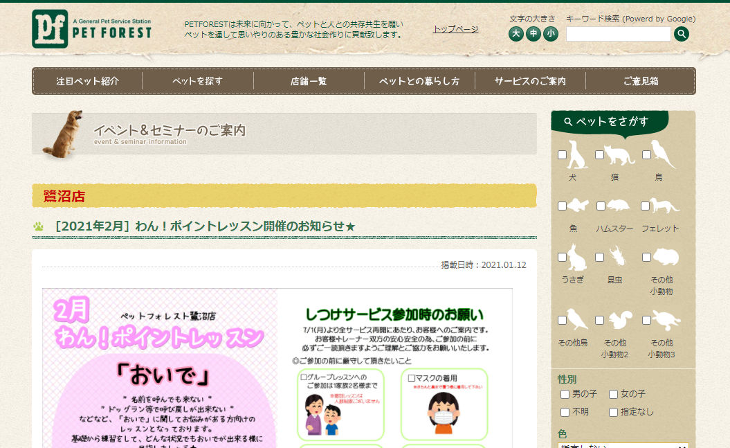 ペットフォレスト鷺沼店わん!ポイントレッスンおいで