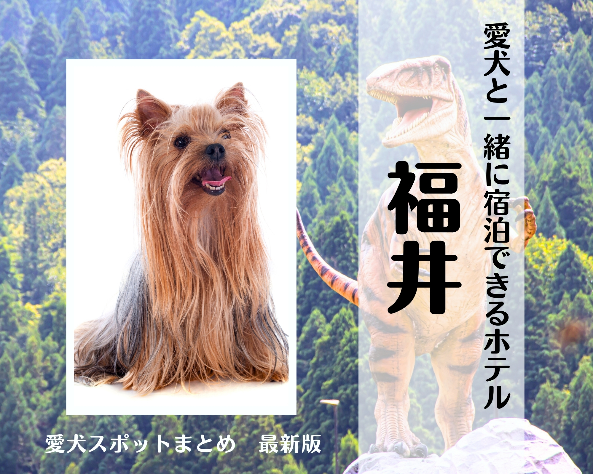 福井