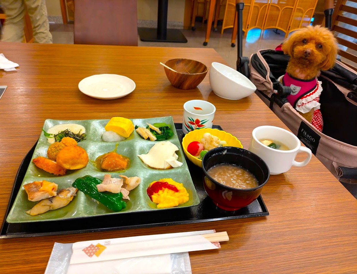 わんわんパラダイス奈良生駒