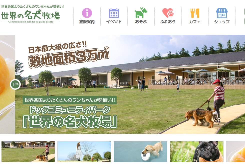 6月イベント・世界の名犬牧場
