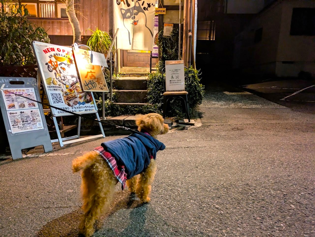 春巻きとよだれ鶏酔いしば谷町六丁目
