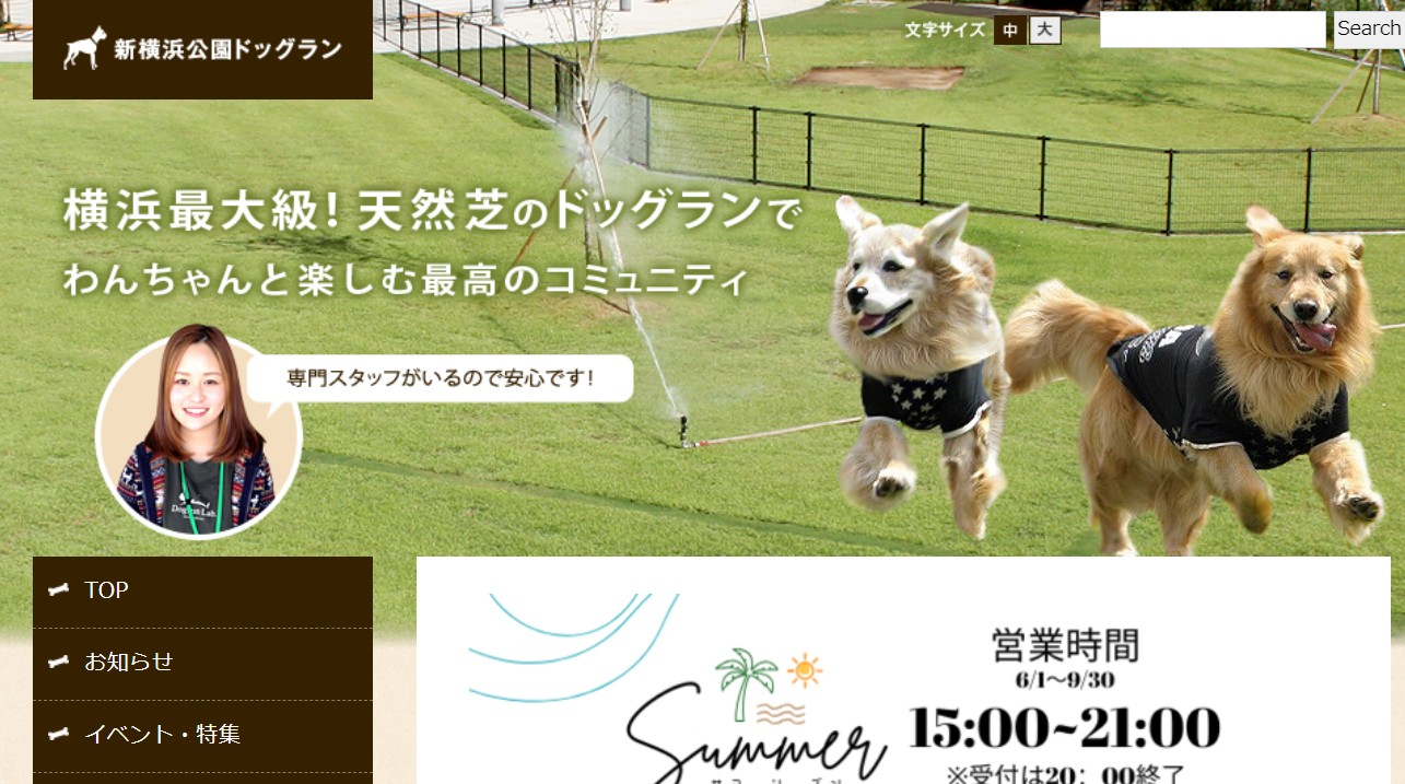 夏休み特別企画 親子で学ぼう!犬のコト