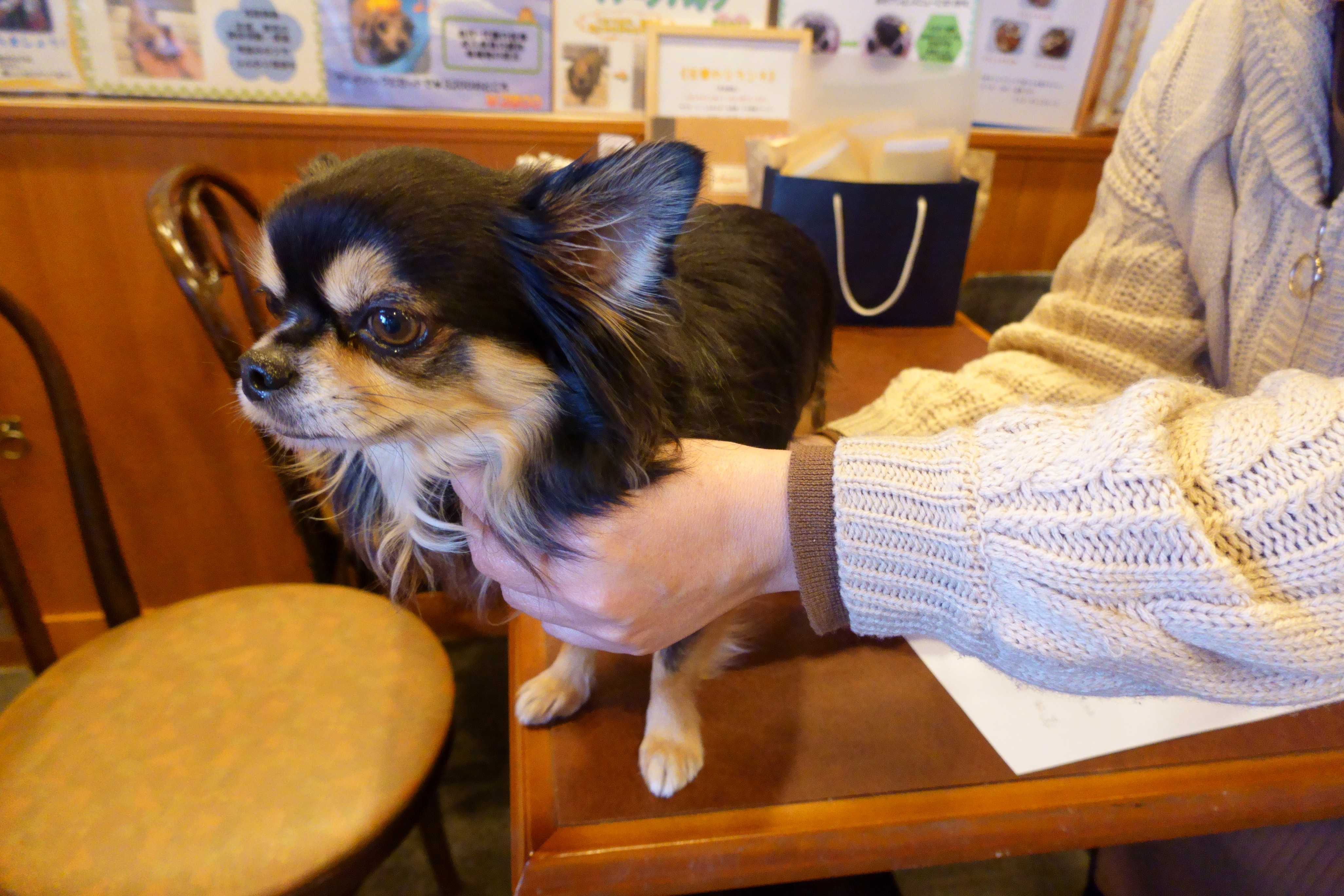Cafe de RoRo&DOG'S(カフェデロロ)くずは店