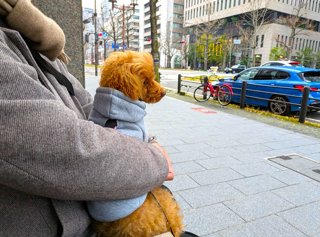 フレンチバゲットカフェ