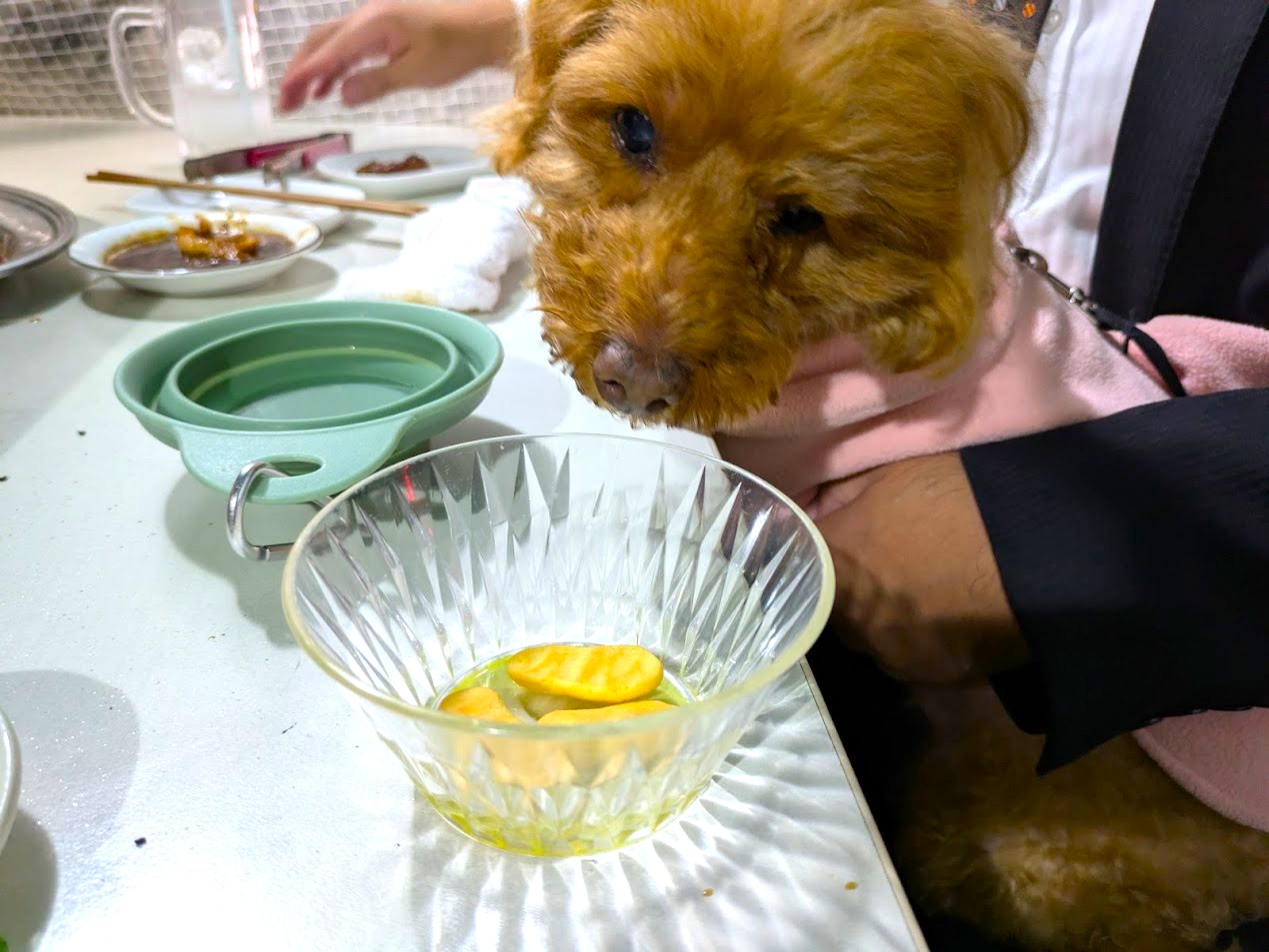 ホルモン福゜福゜