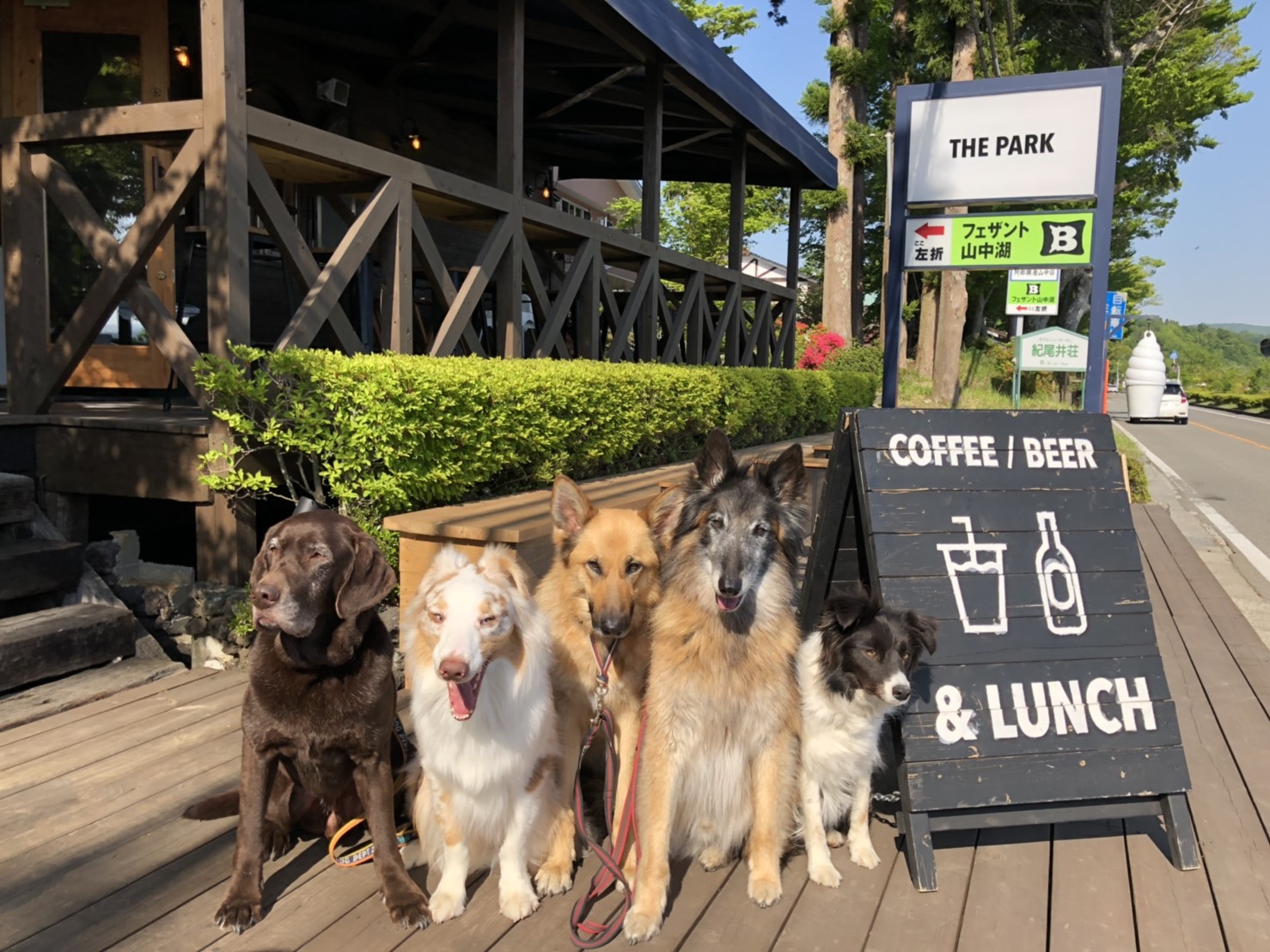 【関東】愛犬と美味しいケーキが食べられるお店