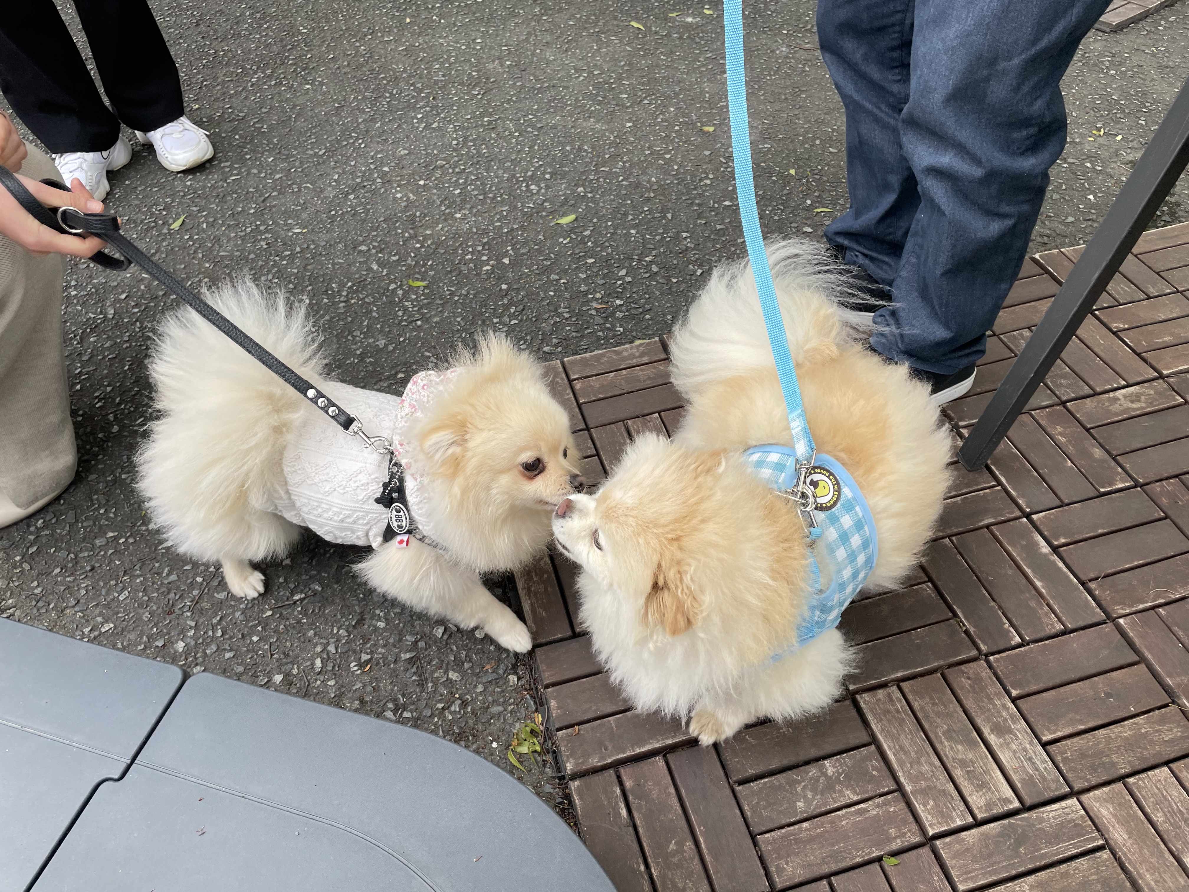 宿原ガーデンテラス・カフェバランタイン