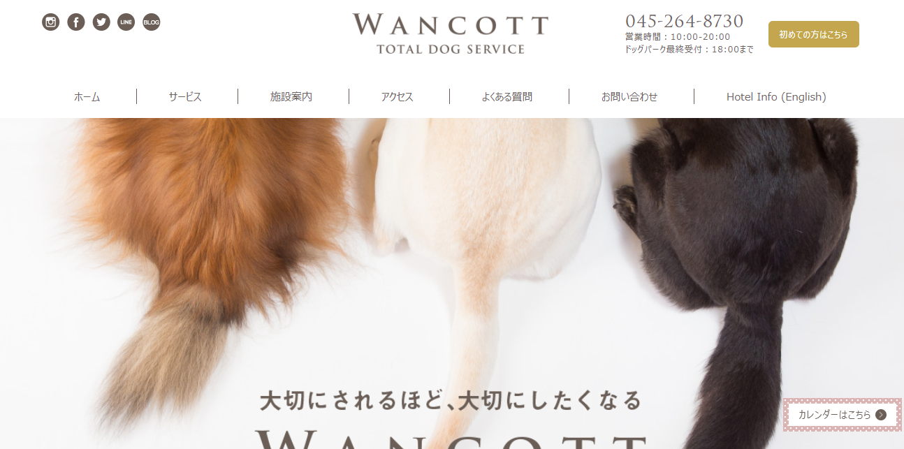 WANCOTTDogyoga