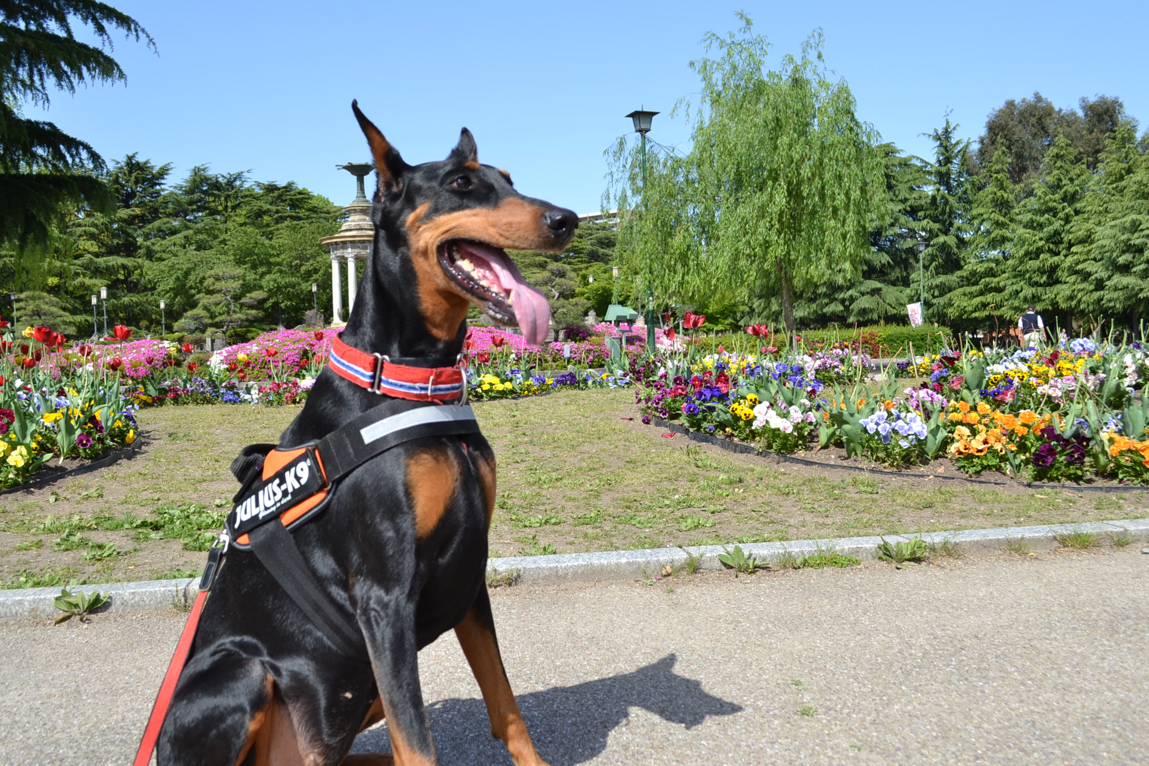 鶴舞公園