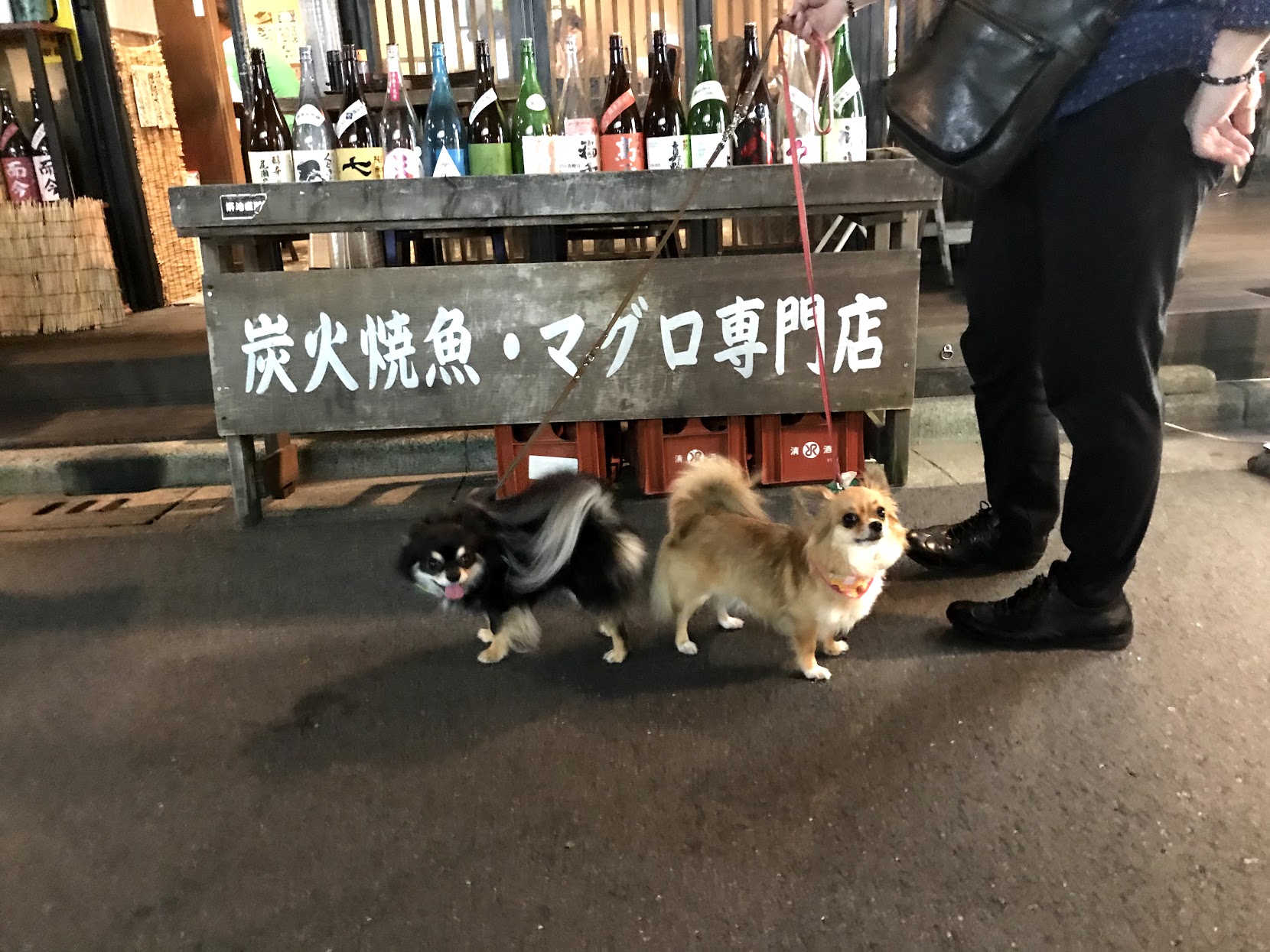 人形町食事処築地のマルショウ