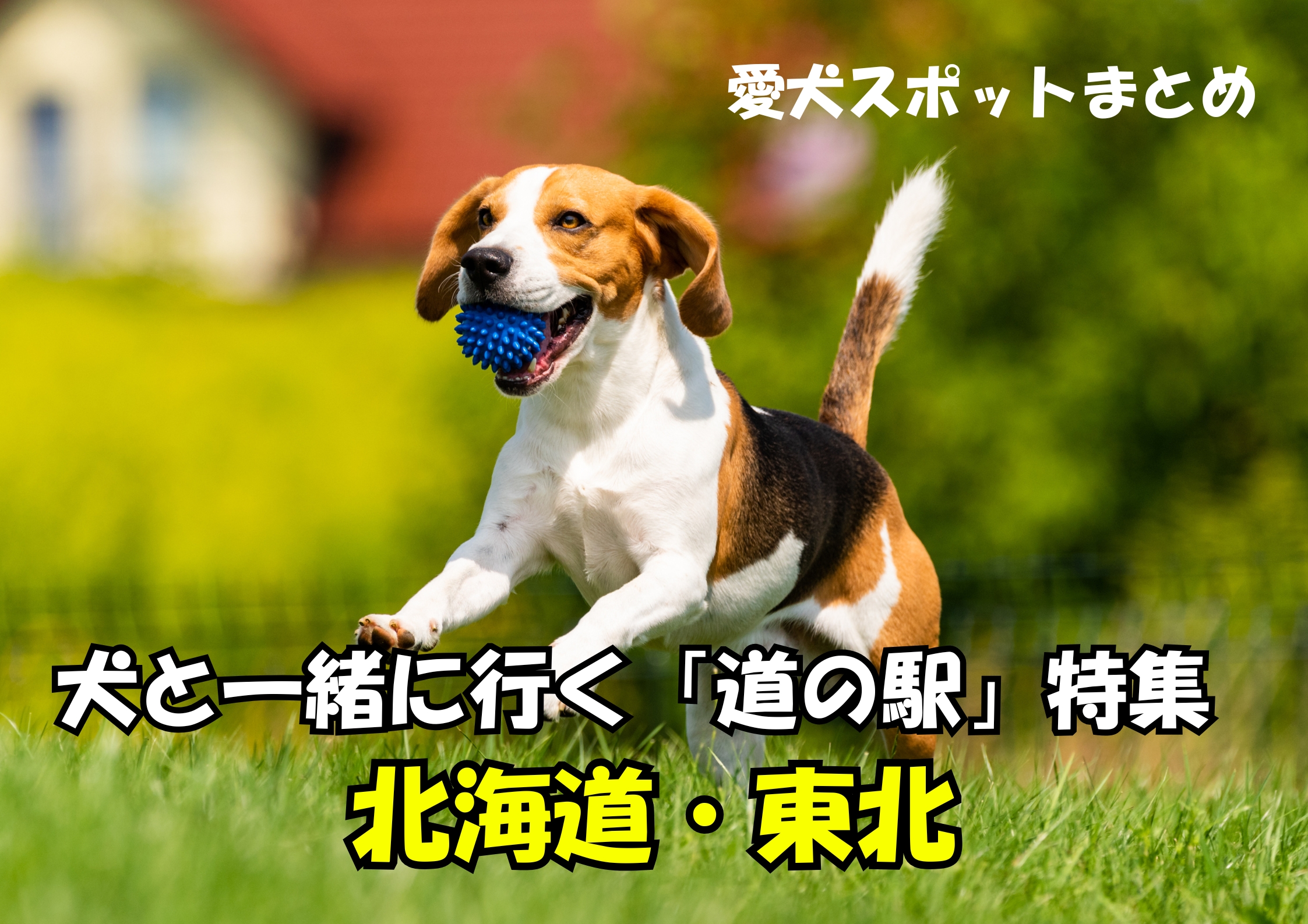 犬と一緒に行く道の駅特集|北海道・東北