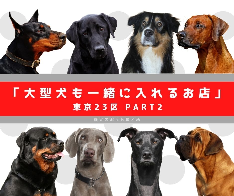 「大型犬も一緒に入れるお店」東京23区