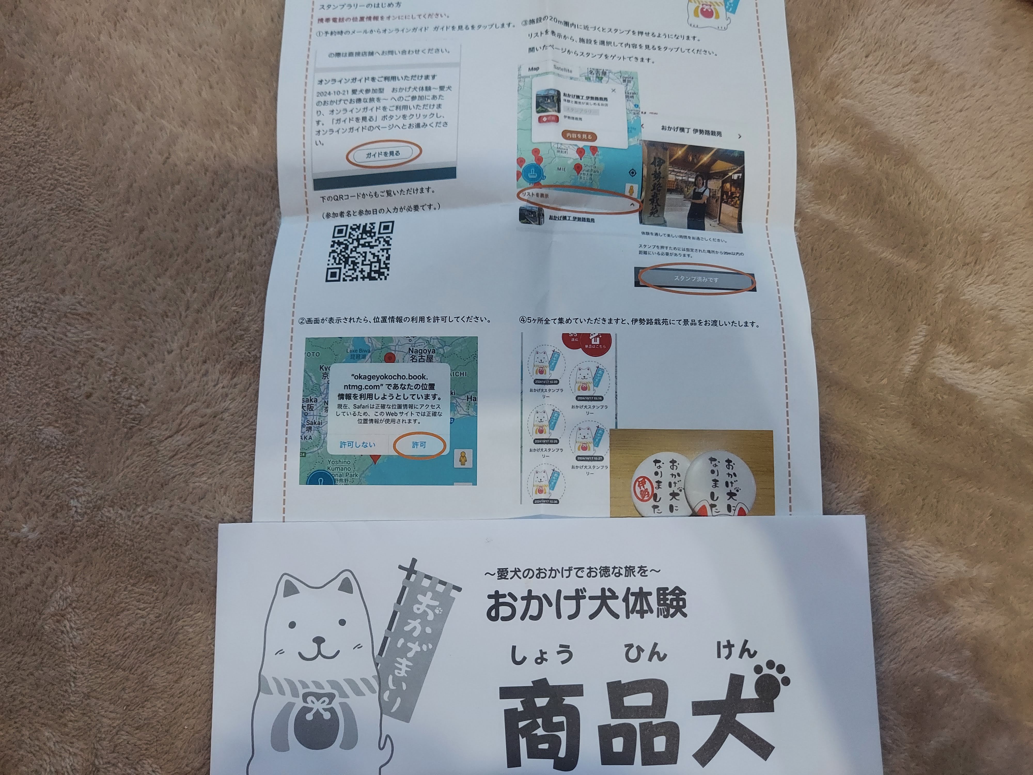 愛犬参加型 おかげ犬体験