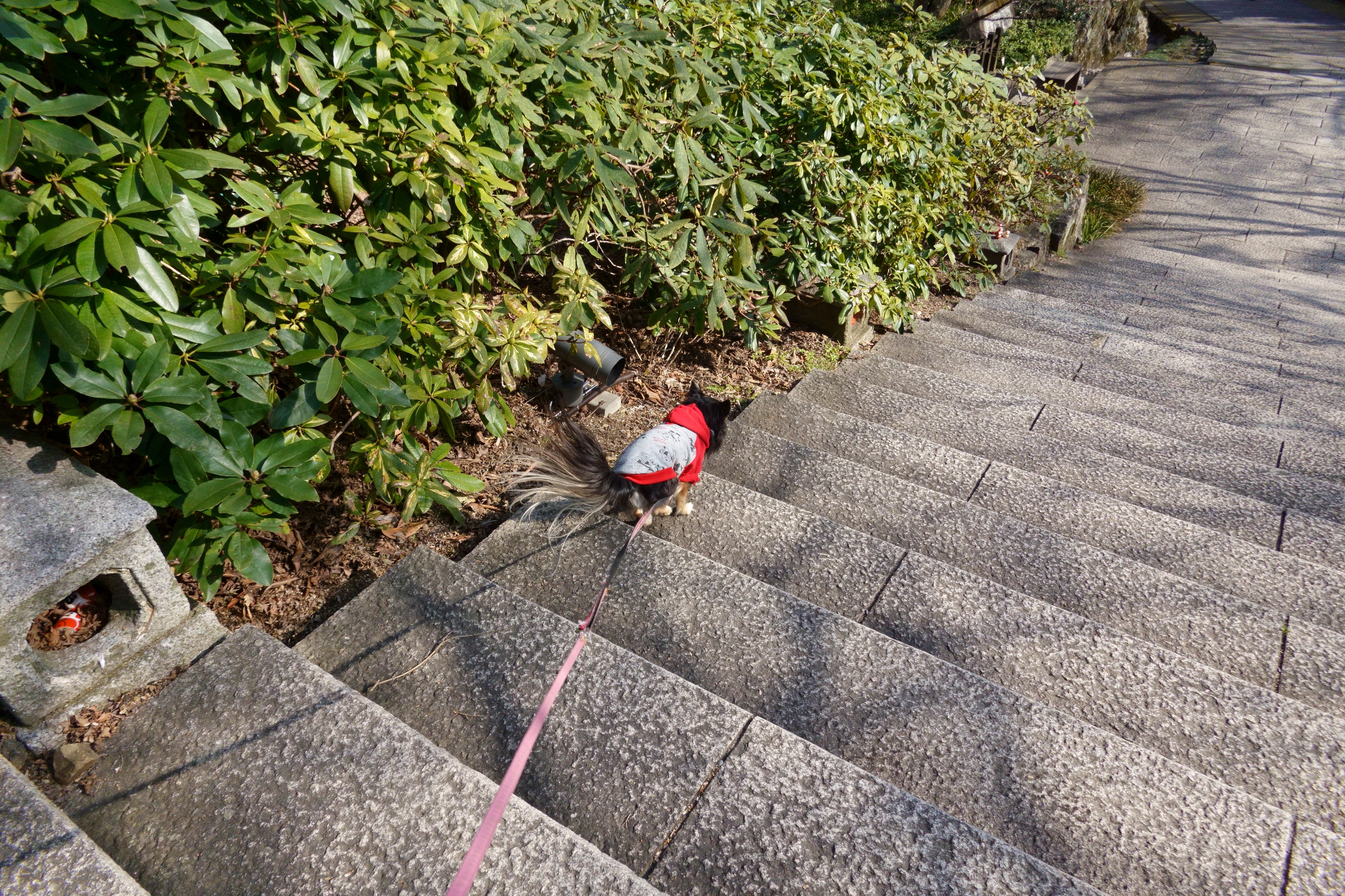 開運の寺 勝尾寺(かつおじ)