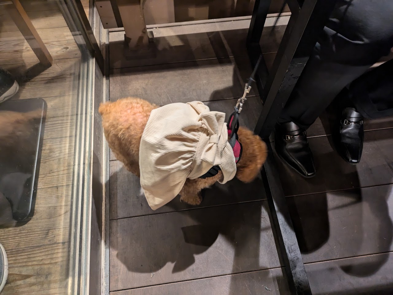 たじまや輝　西天満店