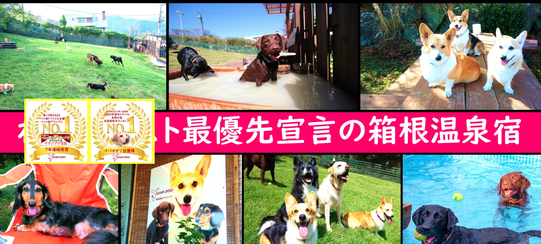 愛犬と一緒に宿泊できるホテル　箱根　2021年版