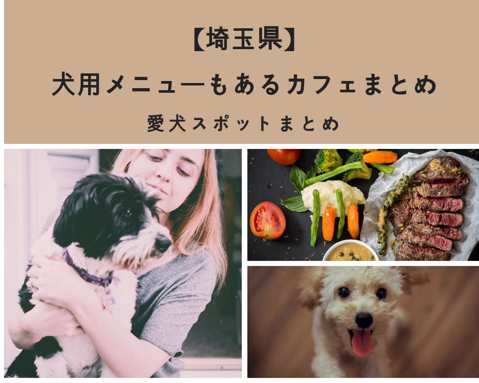 【埼玉県】「犬用メニューもあるカフェまとめ」PartⅥ