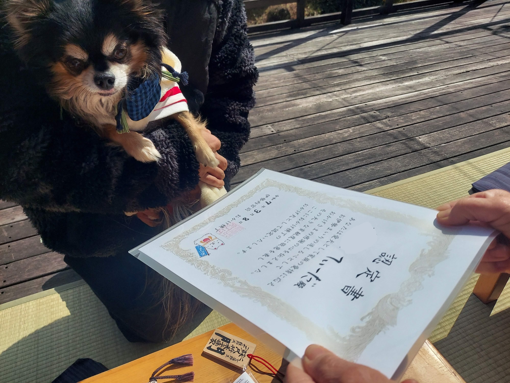 愛犬参加型 おかげ犬体験