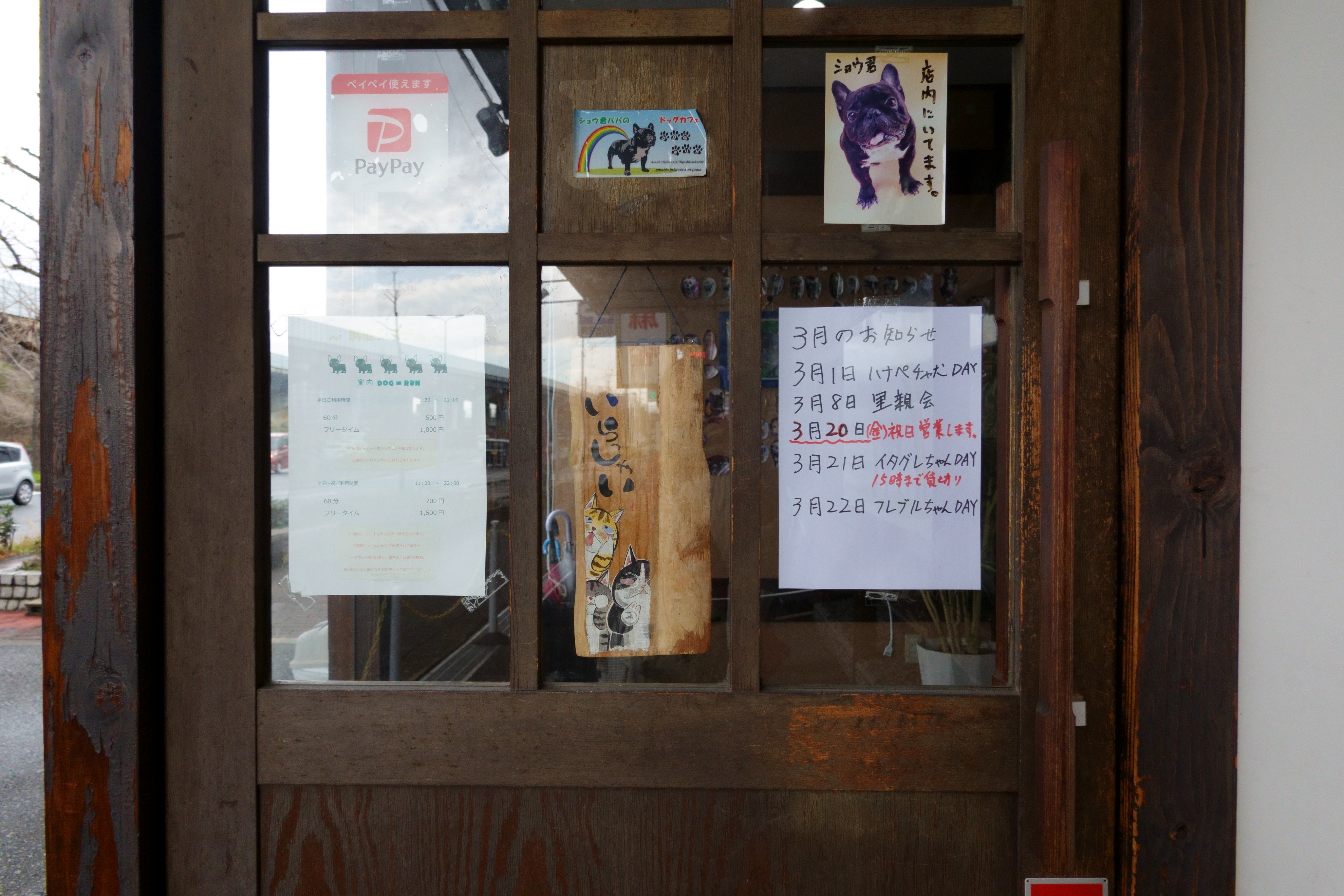 若江岩田駅 室内ドッグラン カフェ ショウ君パパのドッグカフェ 室内犬同伴可 大阪府 東大阪市 ペットと一緒