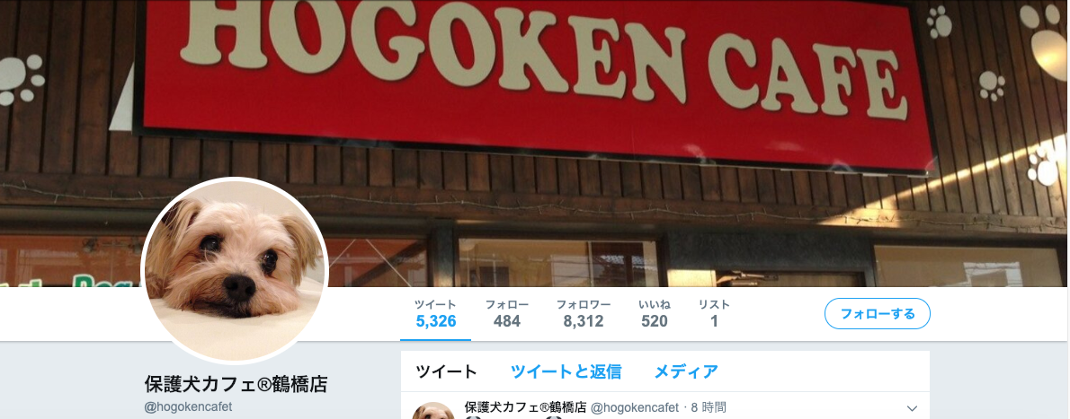 鶴橋 保護 犬 店 カフェ