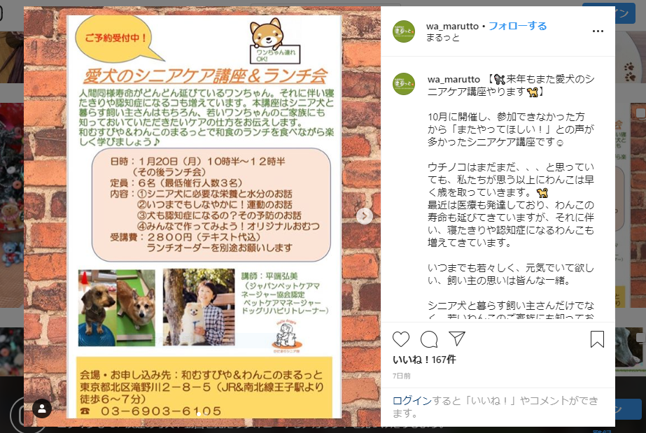和むすびや&わんこのまるっと愛犬のシニアケア講座&ランチ会