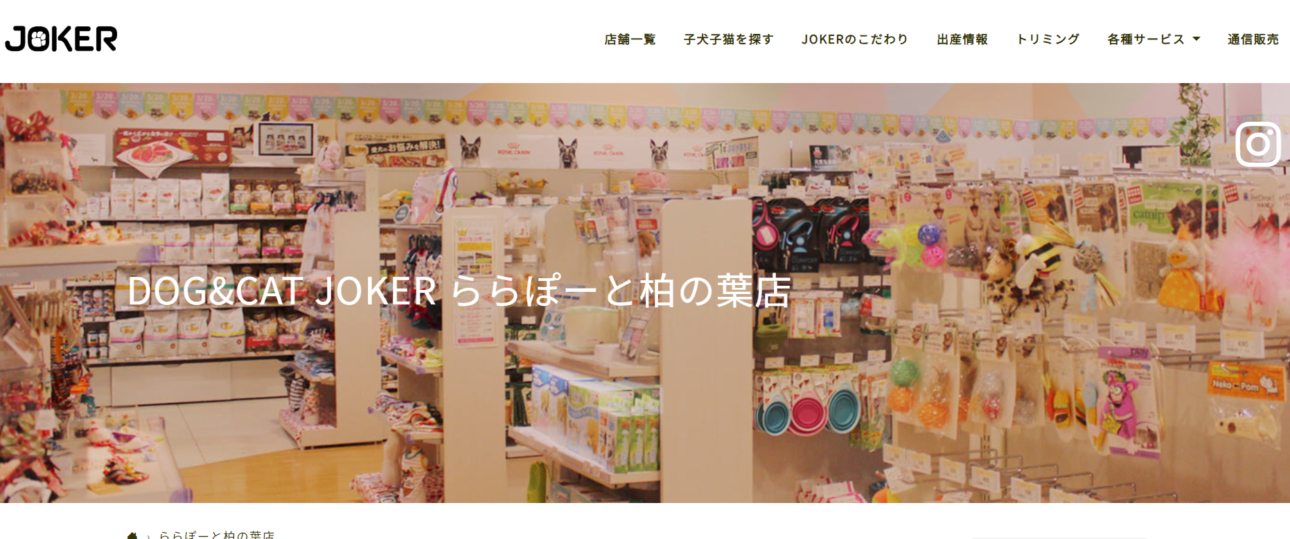フィットネスストレッチレッスン