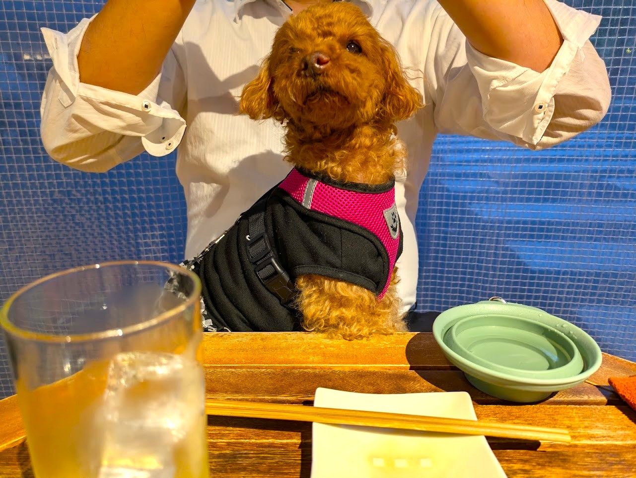 炭焼TOKI