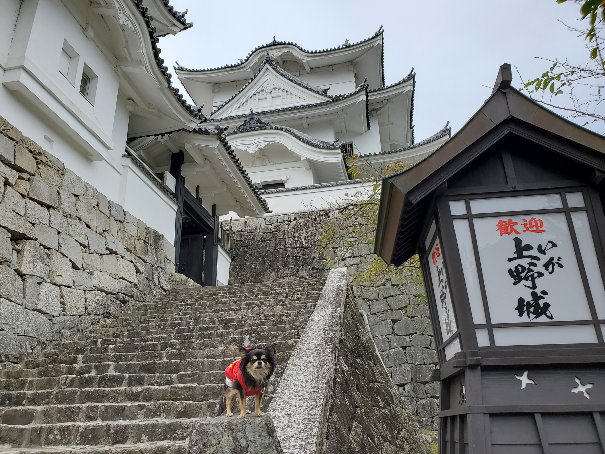 伊賀上野城