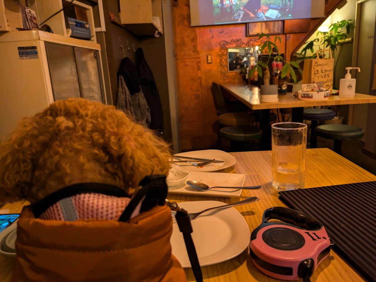 ビストロアラメゾン