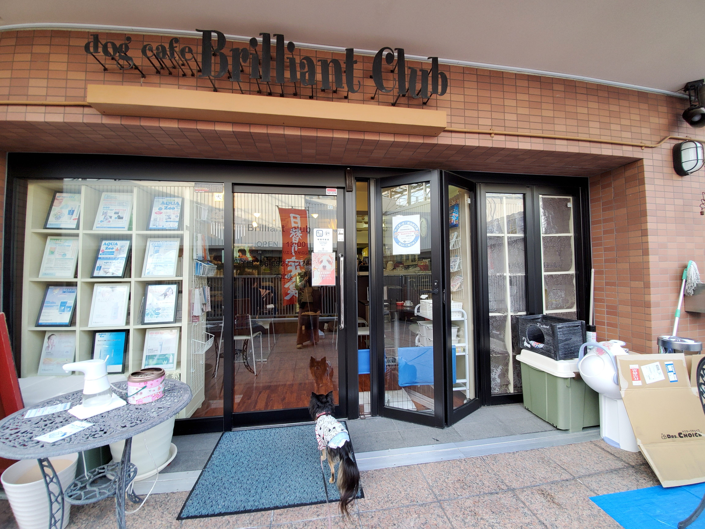 dog cafe Brilliant Club(ドッグカフェ ブリリアントクラブ)