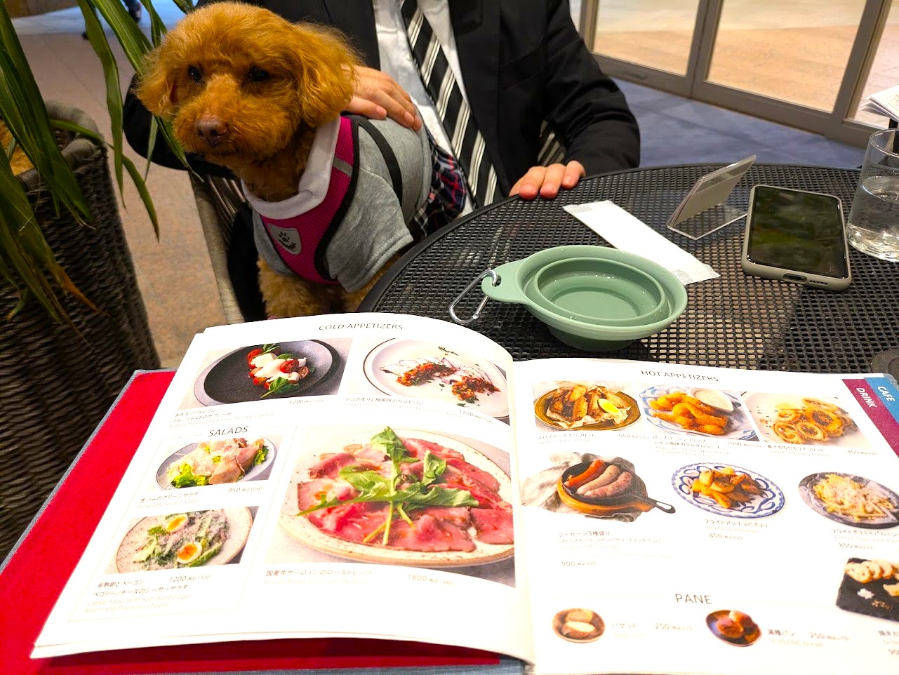 Pizzeria&Trattoria Bar Table Nice なんばパークス店