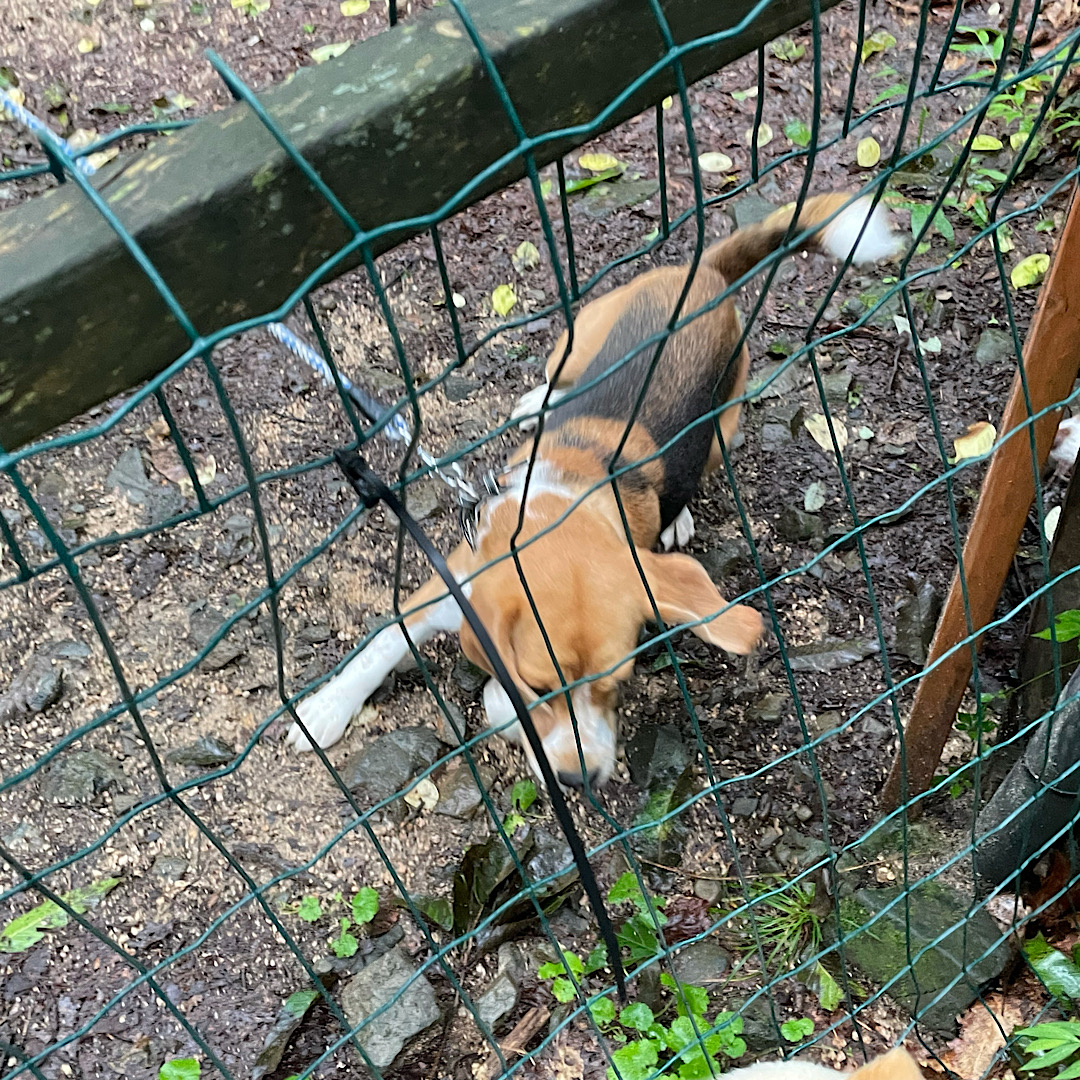 奥琵琶湖キャンプ場