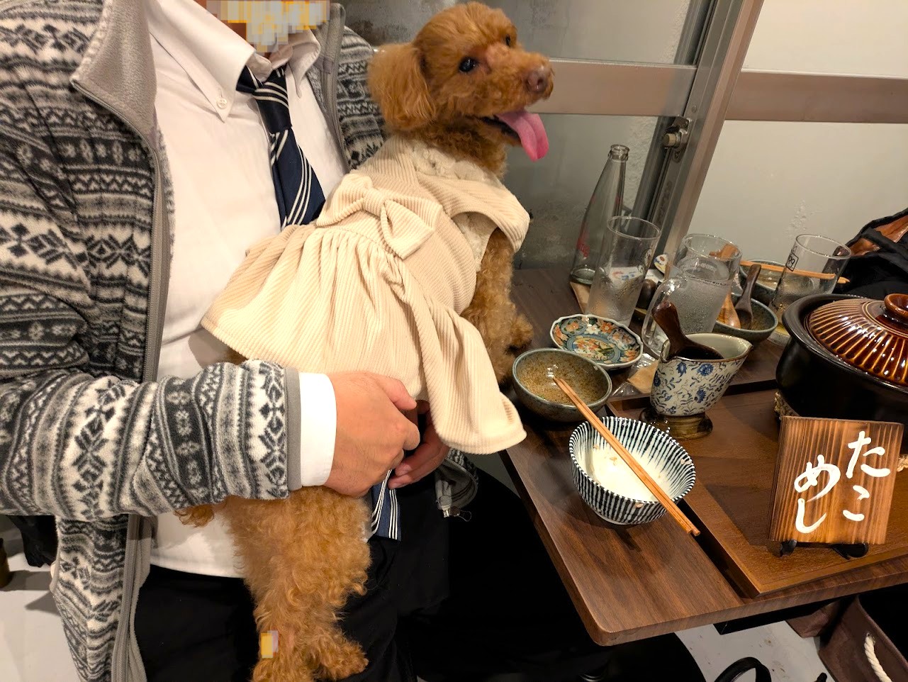 此処は堀江ニルとコメ
