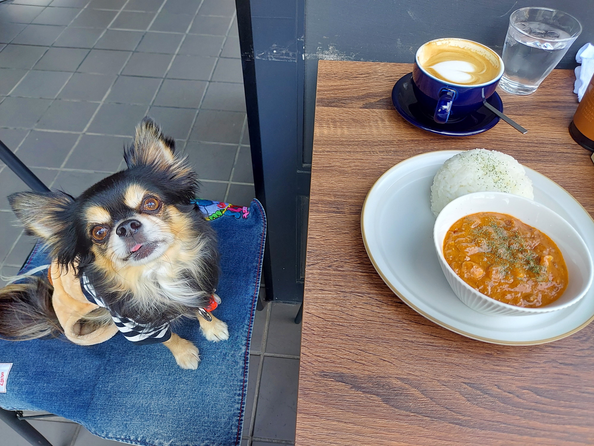 TOUDAI CAFE&DINING