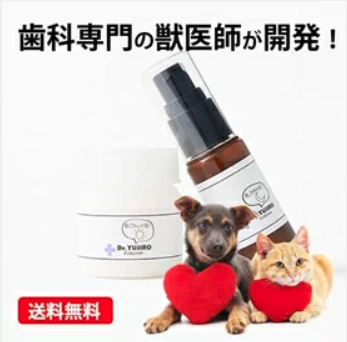 愛犬のデンタルケア商品10選【ペットと一緒編集部】