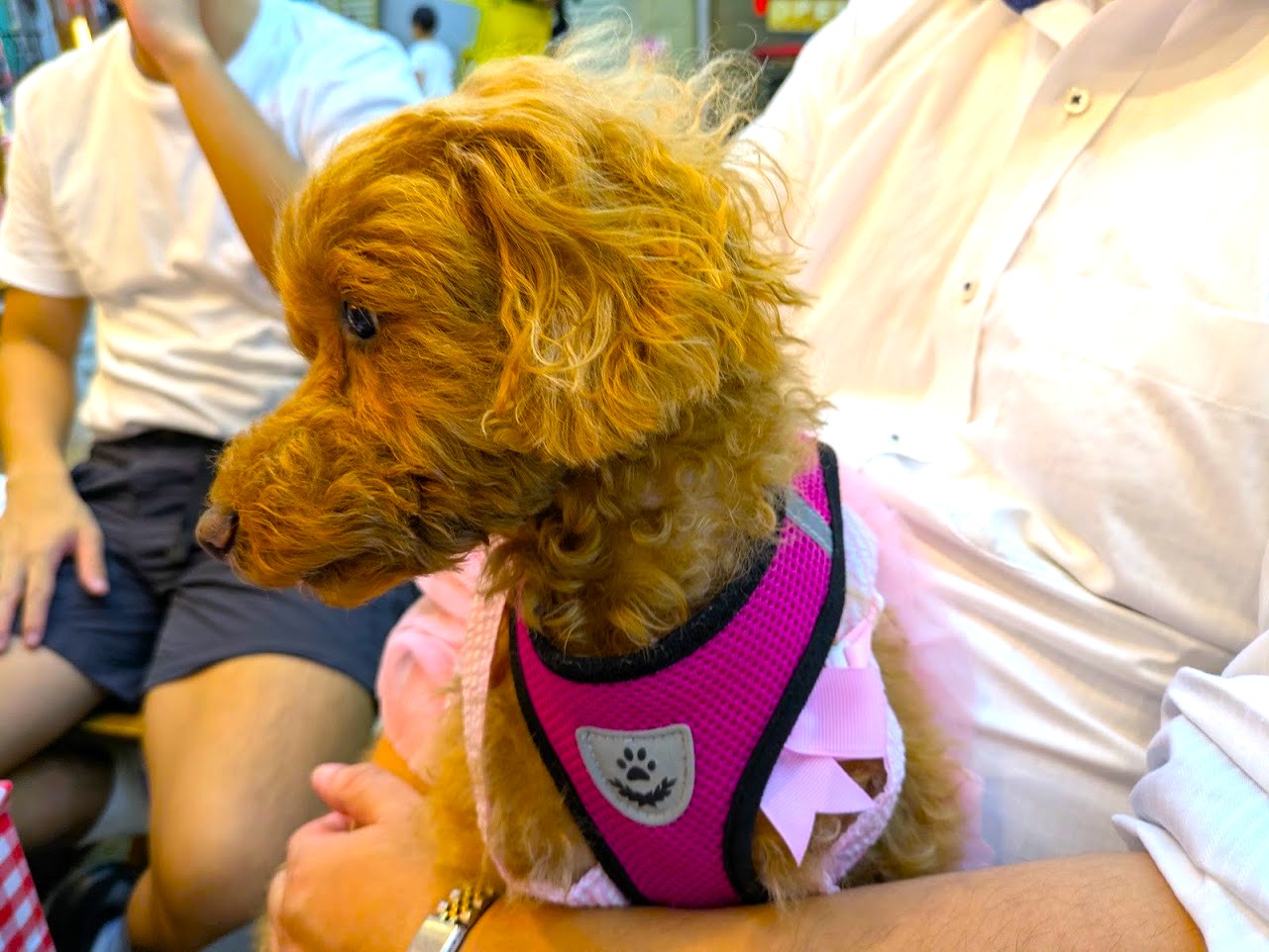 Pizzeria Asso da yamagichi