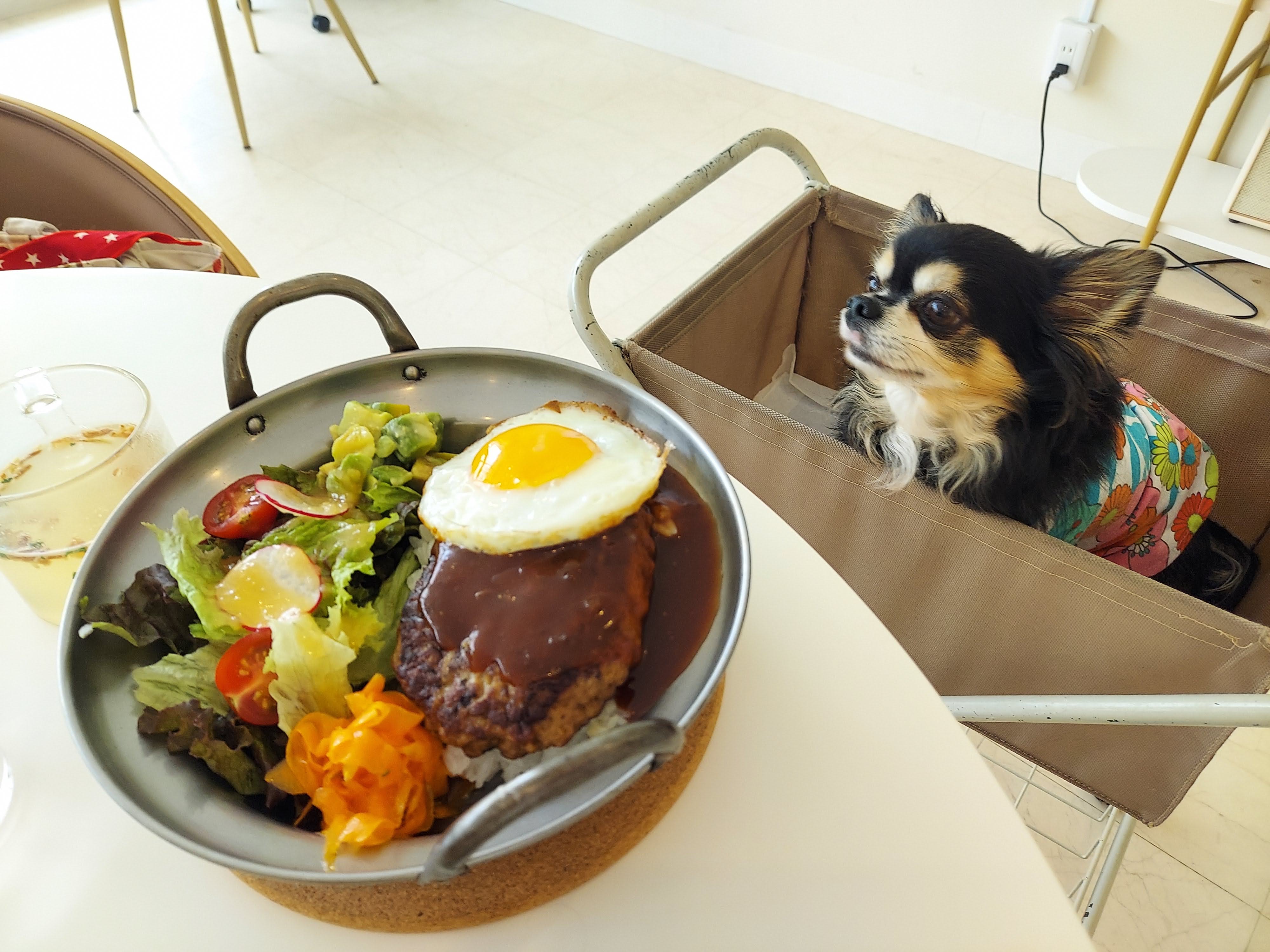 .d Cafe(ドットディーカフェ)