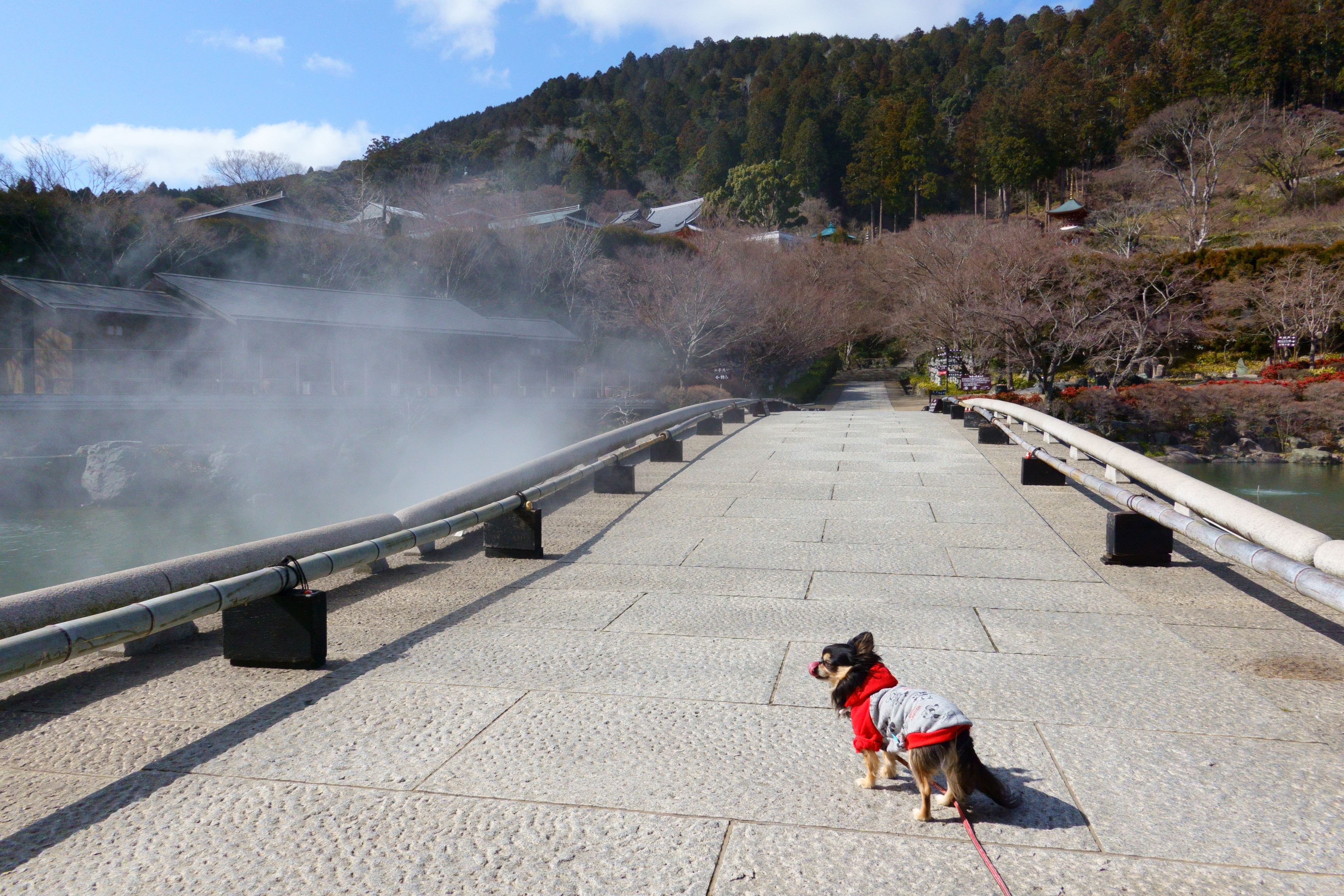 開運の寺 勝尾寺(かつおじ)