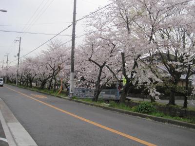 近鉄河内山本