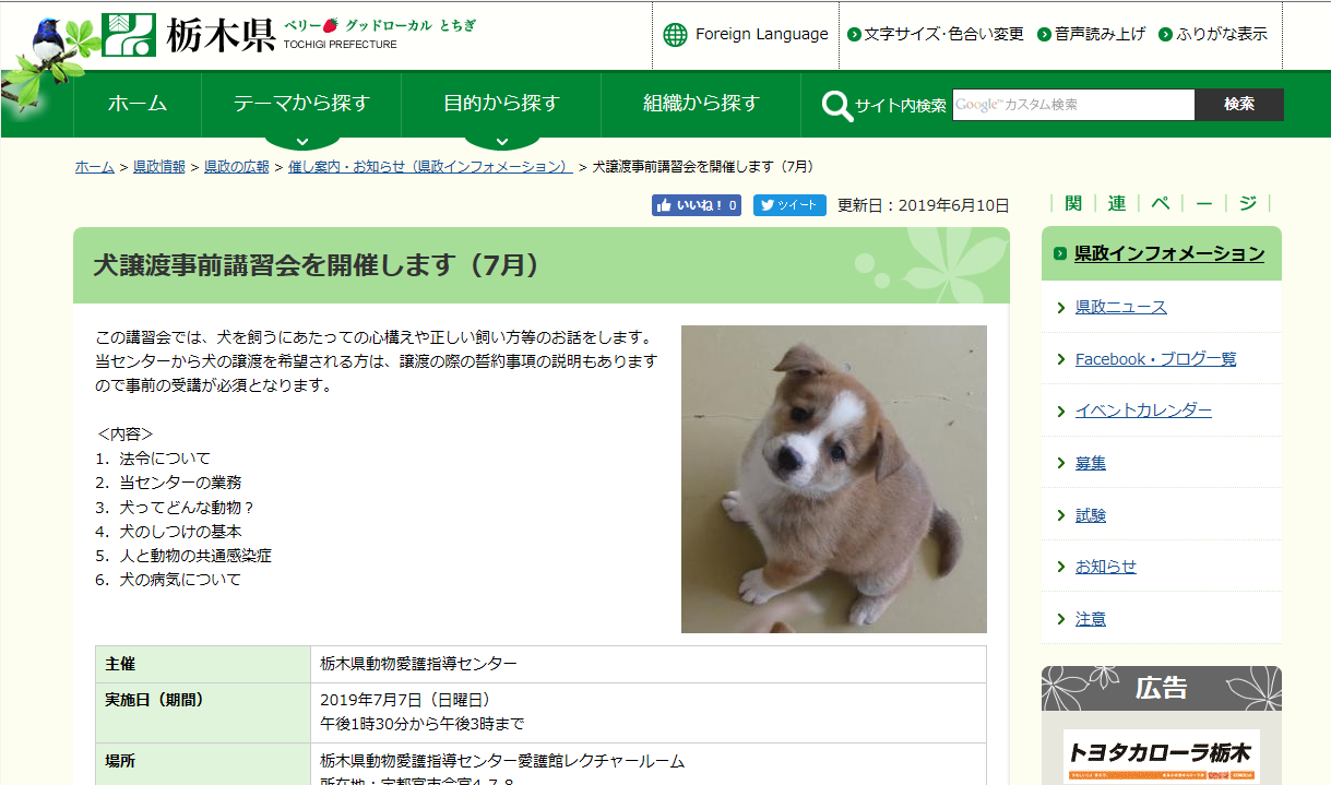 犬譲渡事前講習会