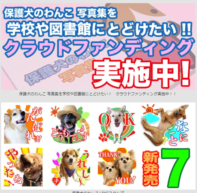 保護犬のわんこプロジェクト