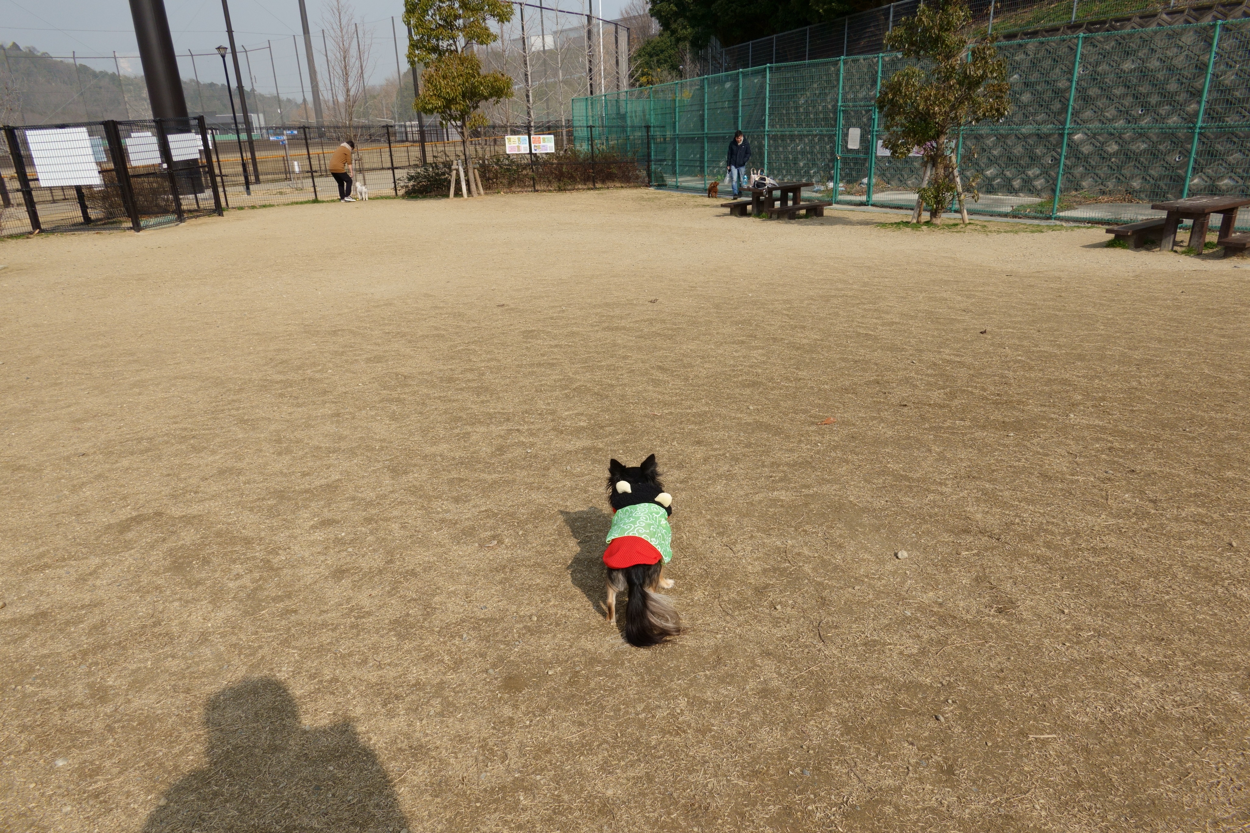 東部公園ドッグラン