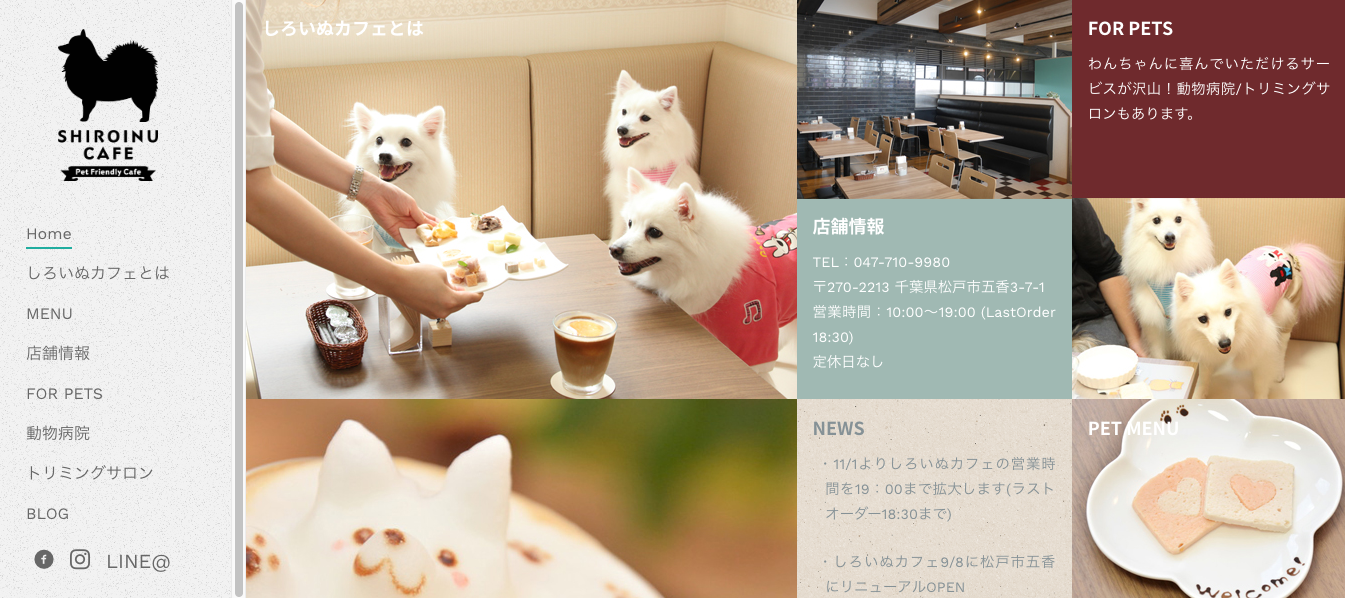 【関東】〜屋内の愛犬インスタ映えスポット まとめ〜