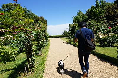 河津バガテル公園