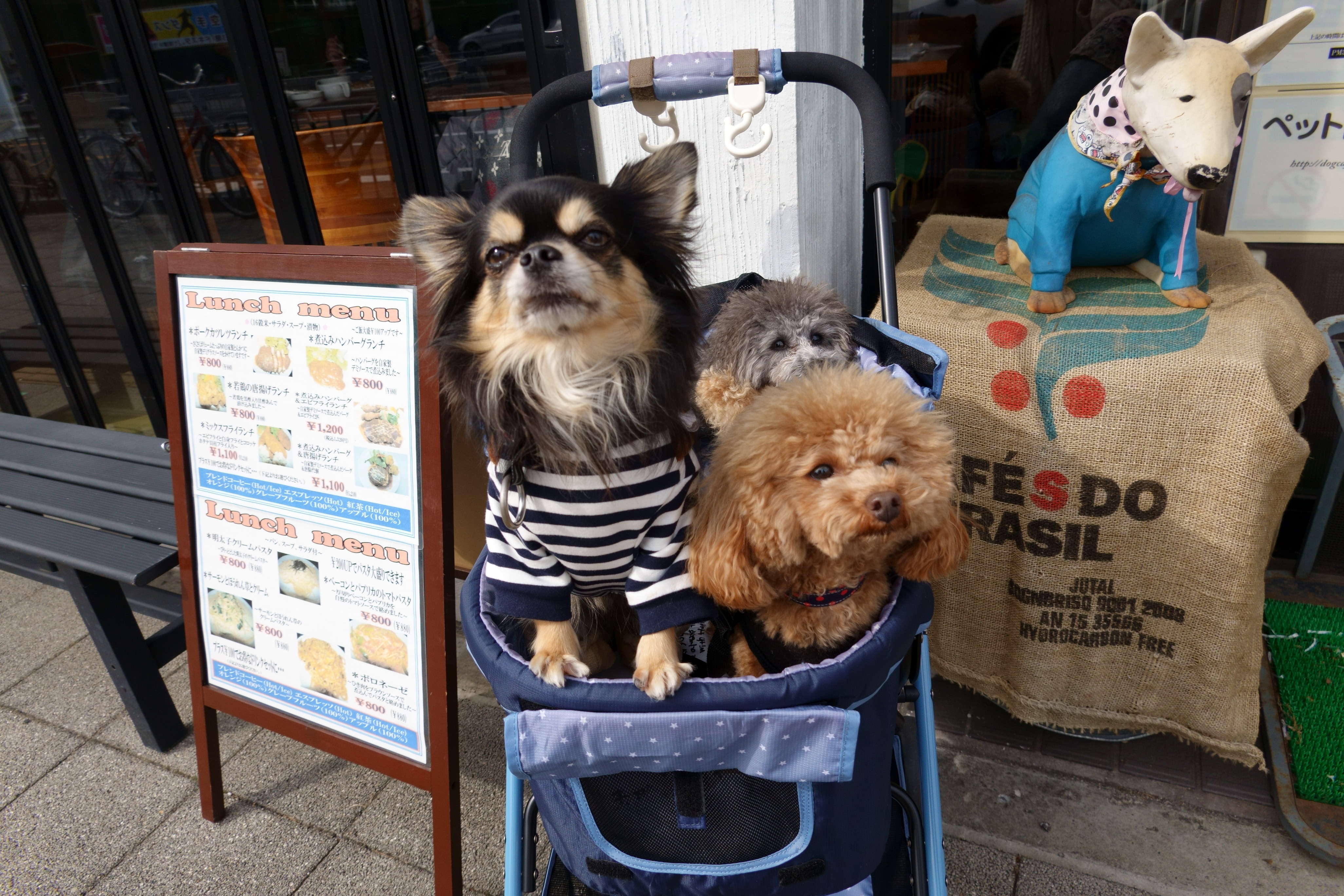 【大阪】愛犬と美味しいケーキが食べられるお店～Part2～