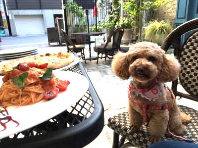 【関西】愛犬と本格的なイタリアンが楽しめるお店