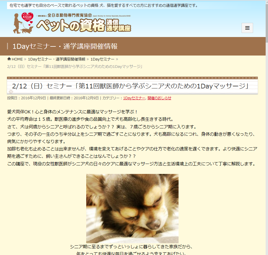 獣医師から学ぶシニア犬のための1Dayマッサージ