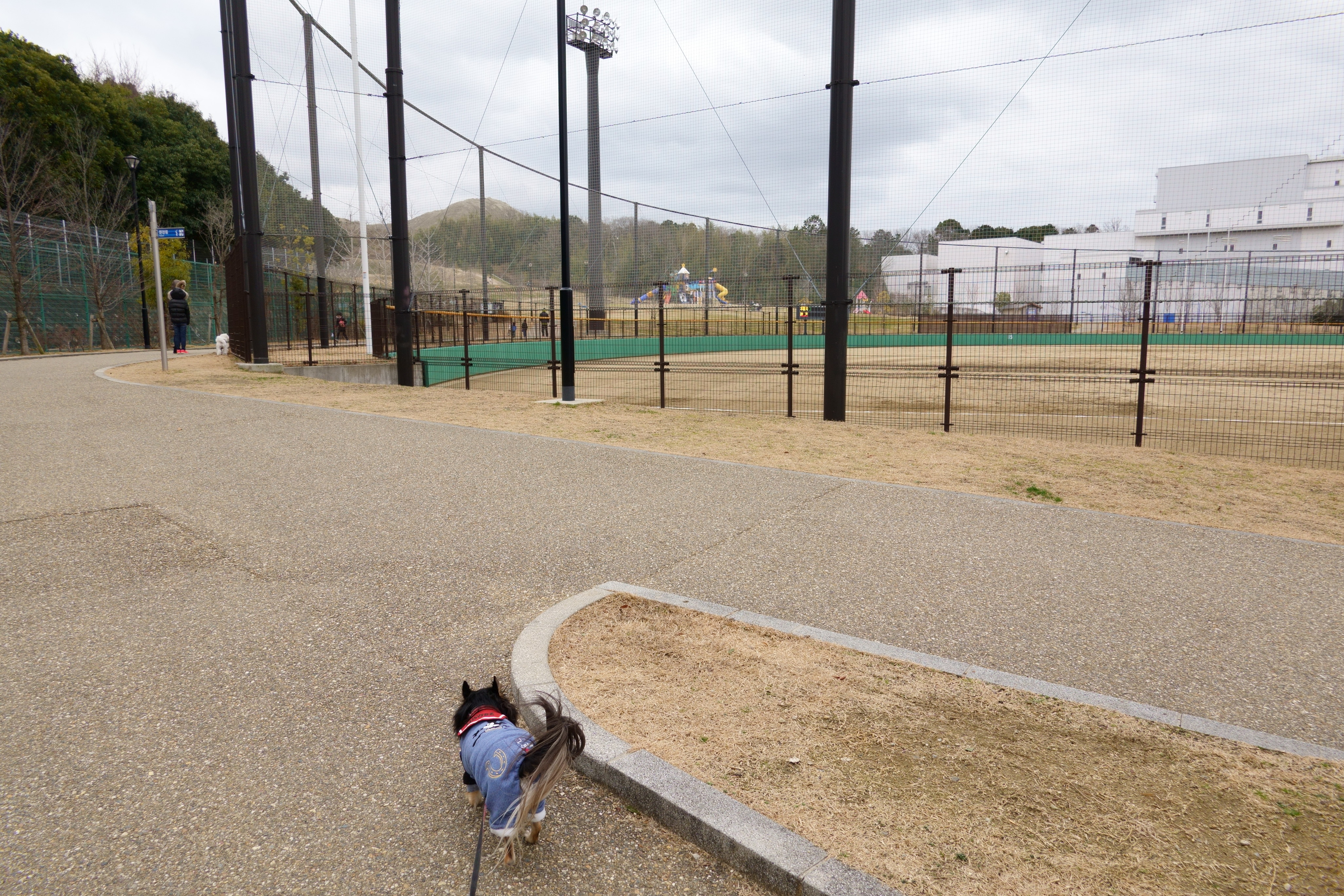 東部公園ドッグラン